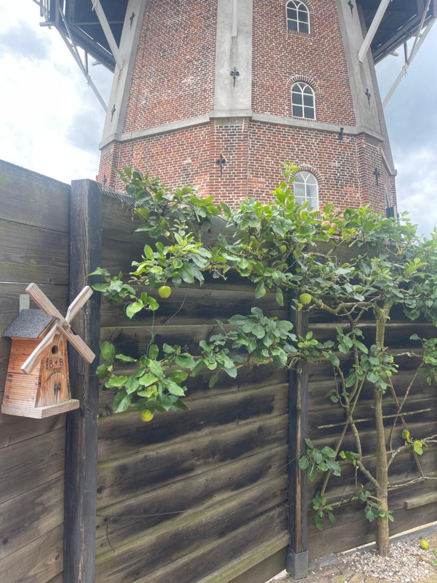 B&B Het Molenhuisje Winschoten - Met Woonkamer & Keuken Buitenkant foto